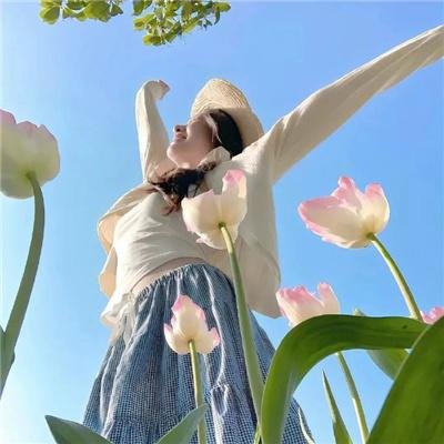 白莲花 剧照